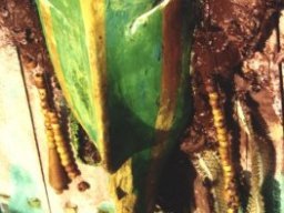 1992. s/ Luces de Kenya